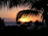 Mauibuys.com